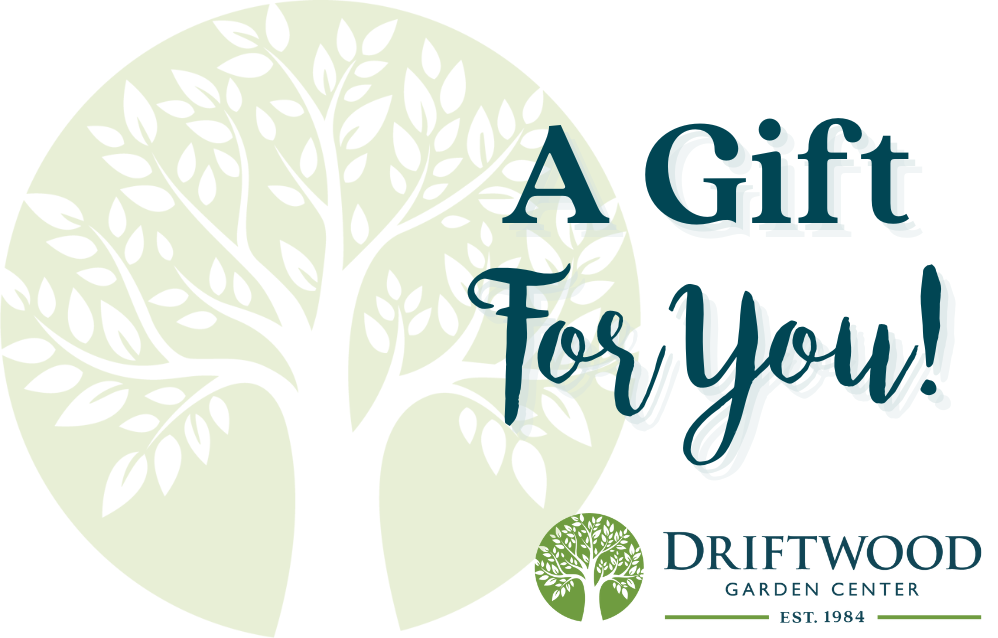 Driftwood e-Gift Card